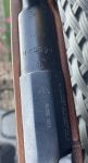 IMG_1793.jpeg