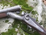 Gun